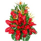 ϸʻٵ