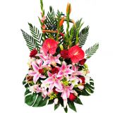 ϸʻٵ