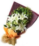 ϸʻٵ