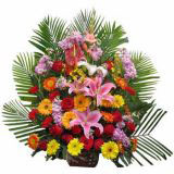 ϸʻٵ