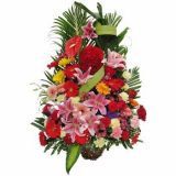 ϸʻٵ