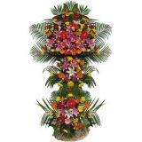 ϸʻٵ